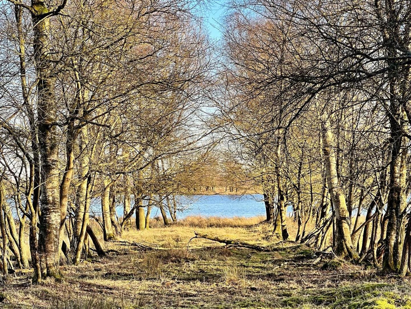 Natuurhuisje Meppen Exterior photo