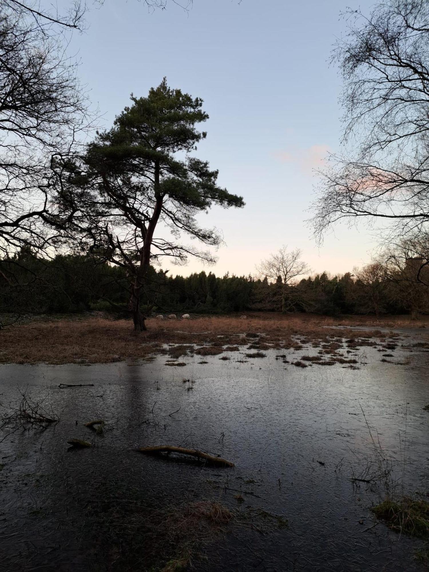 Natuurhuisje Meppen Exterior photo